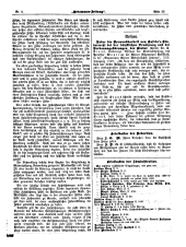 Hebammen-Zeitung 18990315 Seite: 5