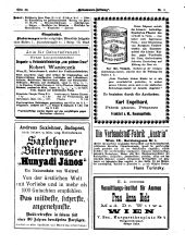 Hebammen-Zeitung 18990315 Seite: 6