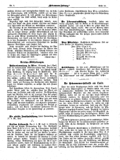 Hebammen-Zeitung 18990415 Seite: 3