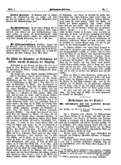 Hebammen-Zeitung 19010115 Seite: 8