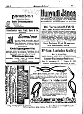 Hebammen-Zeitung 19010115 Seite: 12