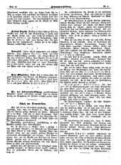 Hebammen-Zeitung 19010215 Seite: 4