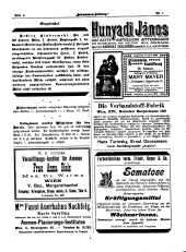 Hebammen-Zeitung 19020115 Seite: 10