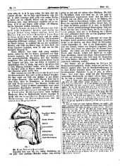 Hebammen-Zeitung 19040915 Seite: 3