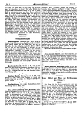 Hebammen-Zeitung 19050315 Seite: 3