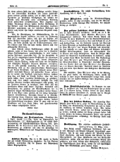 Hebammen-Zeitung 19050330 Seite: 2