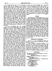 Hebammen-Zeitung 19050330 Seite: 4