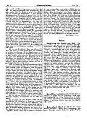 Hebammen-Zeitung 19051215 Seite: 7