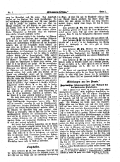Hebammen-Zeitung 19060115 Seite: 9