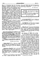 Hebammen-Zeitung 19060315 Seite: 3