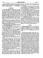 Hebammen-Zeitung 19060315 Seite: 7