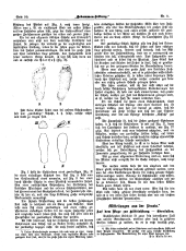 Hebammen-Zeitung 19060430 Seite: 6