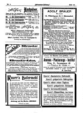 Hebammen-Zeitung 19060515 Seite: 11