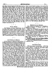 Hebammen-Zeitung 19070115 Seite: 12