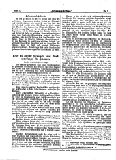 Hebammen-Zeitung 19070131 Seite: 4