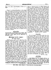 Hebammen-Zeitung 19070228 Seite: 6