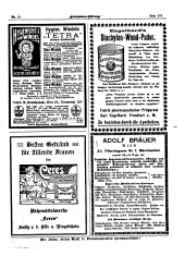Hebammen-Zeitung 19071130 Seite: 13
