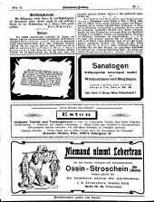 Hebammen-Zeitung 19090101 Seite: 16