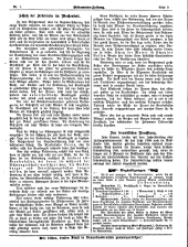 Hebammen-Zeitung 19090115 Seite: 7