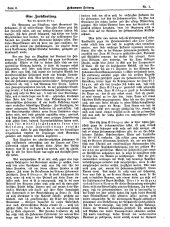 Hebammen-Zeitung 19100101 Seite: 8