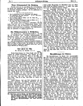 Hebammen-Zeitung 19110101 Seite: 11