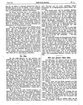 Hebammen-Zeitung 19110501 Seite: 8