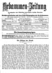 Hebammen-Zeitung 19160101 Seite: 3