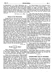 Hebammen-Zeitung 19160401 Seite: 6