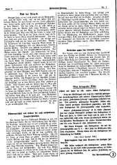 Hebammen-Zeitung 19170101 Seite: 8