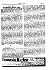 Hebammen-Zeitung 19170401 Seite: 9