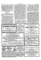 Die Hausfrau: Blätter für Haus und Wirthschaft 18790805 Seite: 3
