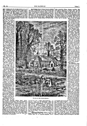 Die Hausfrau: Blätter für Haus und Wirthschaft 18821215 Seite: 3