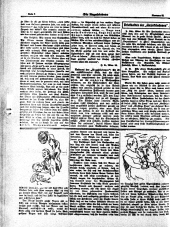 Die Unzufriedene 19241220 Seite: 6