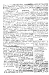 Wiener Sonn- und Montags-Zeitung 18780729 Seite: 2