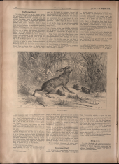 Illustrierte Sport-Zeitung 18780804 Seite: 4