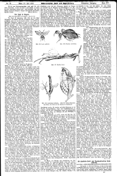 Forst-Zeitung 18980722 Seite: 3