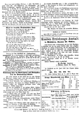 Vorarlberger Volksblatt 18660703 Seite: 4