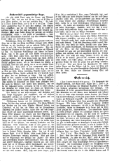 Vorarlberger Volksblatt 18660615 Seite: 2