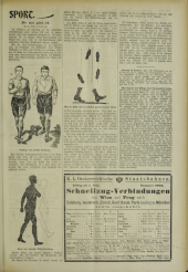 (Neuigkeits) Welt Blatt 19030715 Seite: 13