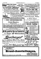 Teplitz-Schönauer Anzeiger 19030613 Seite: 23