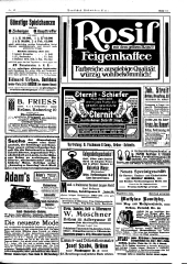 Deutsches Südmährerblatt 19130613 Seite: 11