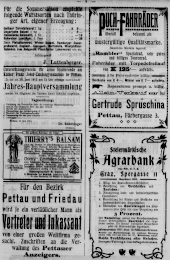 Pettauer Anzeiger 19130615 Seite: 3