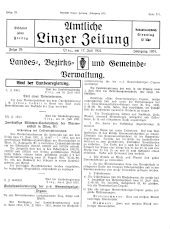Amtliche Linzer Zeitung 19310717 Seite: 3