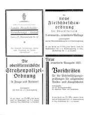 Amtliche Linzer Zeitung 19310717 Seite: 22