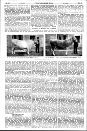 Wiener Landwirtschaftliche Zeitung 19130528 Seite: 2