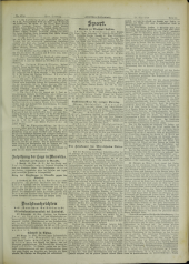 Deutsches Volksblatt 19130524 Seite: 11