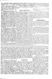 Wiener Sonn- und Montags-Zeitung 18730505 Seite: 3