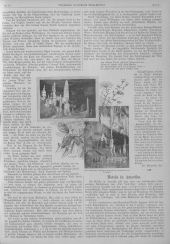 Dillinger's Reisezeitung 18930510 Seite: 3