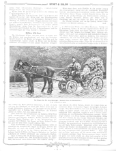 Sport und Salon 19060602 Seite: 11