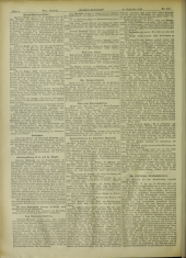 Deutsches Volksblatt 18990930 Seite: 4